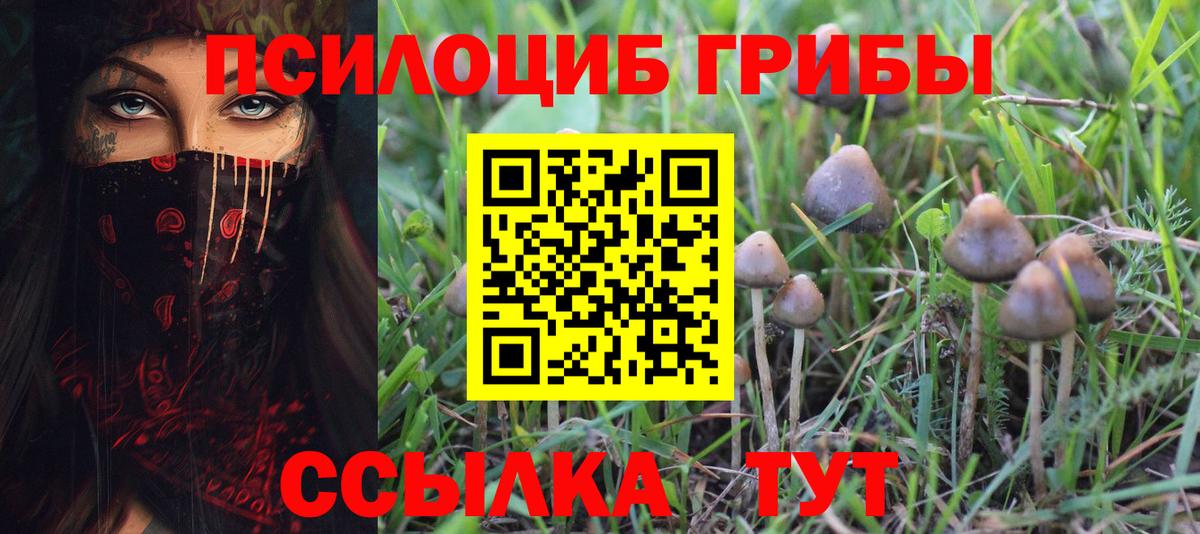 Галлюциногенные грибы Psilocybine cubensis  Вход с VPN  Нижний Новгород  купить  цена  Галлюциногенные грибы Magic Shrooms 